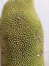 京鲜生 海南菠萝蜜整个 13-17斤 净重13斤生鲜水果 源头直发 实拍图