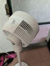 美的（Midea）【暴风循环】空气循环扇大风量摇头电风扇家用台式落地扇轻音卧室节能小风扇柔风轻羽扇 FGA24TQ 实拍图