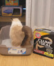 艾禾美（Arm&Hammer）铁锤猫砂黑盒红14磅美国进口膨润土猫砂 实拍图