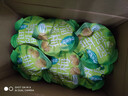 溜溜梅60g休闲装乌梅西梅杨梅梅子孕妇儿童休闲健康解馋零食 60g绿茶味青梅 实拍图