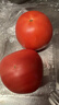 番茄约500g 实拍图