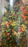 川珍脱水蔬菜干380g混合胡萝卜高丽菜万年青泡面伴侣方便即食配菜干菜 实拍图