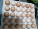 京鲜生【供港品质】【每日鲜蛋】叶黄素可生食鸡蛋30枚3.78斤/盒 礼盒  实拍图
