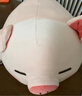 名创优品（MINISO）小猪B-BO弹力超柔趴姿毛绒公仔玩偶抱枕玩具送女友生日新年礼物女 实拍图