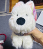 伊美娃娃西高地小狗玩偶狗狗公仔毛绒玩具娃娃送女生女孩新年礼物生日礼物 实拍图