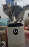 东芝（TOSHIBA）宠物空气净化器大白梨PET除烟味猫毛净化器大风量吸毛净化器除螨除尘除过敏源消毒杀菌家用 实拍图