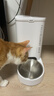 小佩智能自动喂食器SOLO白色 定时定量猫咪自动投食器(支持鸿蒙智联) 实拍图