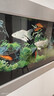 欧庭 壁挂金鱼缸生态大中型客厅居家观赏玻璃水族箱创意挂墙长方形 150x15x55/cm 实拍图