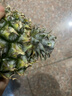 正宗海南金钻凤梨新鲜水果当季树上熟芒果凤梨【催熟食用】 1粒装单果500g-650g【7成熟，催熟再吃】 实拍图