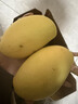 京喜加玉芒水果芒果新鲜上市 带箱1斤【单果200-300g】 实拍图
