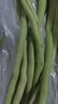 京鲜生山东新鲜架豆王净重1.8斤新鲜蔬菜源头直发包邮 实拍图