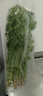 带根香菜100g 实拍图