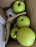京喜加河北皇冠梨蜜梨冰糖梨脆甜远达新10 河北皇冠梨带箱2斤装 实拍图