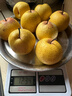 陕西酥梨当季新鲜梨子水果现货新鲜时令应季水果整箱 3斤精选装【脆甜多汁】净重2.5斤 新鲜 实拍图