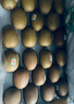 佳沛（zespri）新西兰 阳光金奇异果12粒礼盒特大果单果约122-146g 猕猴桃 实拍图