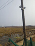 霸天安4G 太阳能户外监控 终身免流量 摄像头室外免插电无需连wifi监控器360度无死角带夜视全景手机远程 实拍图