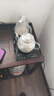 礼茶德烧水壶煮茶一体机全自动上水茶台煮茶器 1L 商务黑【底部单上水】蒸茶款 实拍图