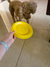 HELLOJOY狗狗飞盘玩具可浮水边牧柯基小中大型犬互动耐咬宠物玩具训练巡回 实拍图