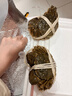 【活蟹】漁家师傅大闸蟹全母4.0-4.3两8只 去绳足重鲜活螃蟹现货生鲜实物水产海鲜礼盒 实拍图