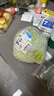 小汤山 圆白菜 500g 基地直供新鲜蔬菜GAP认证 实拍图