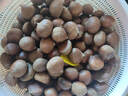 京喜加丹东新鲜板栗糖炒栗子原料糯甜板栗可生吃新鲜蔬菜生鲜 丹东鲜板栗 2斤 送栗爪 实拍图