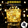 【京喜甄选】太阳能铜线灯LED八功能庭院装饰户外圣诞节日彩灯串 暖白 32米300灯-送太阳能板 实拍图