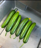 京喜加新鲜无刺水果小黄瓜小青瓜脆甜荷兰脆嫩生吃黄瓜蔬菜 水果黄瓜 2斤 带箱活动 实拍图