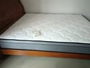 富安娜舒睡系列床垫 乳胶弹簧床垫 软硬两用护脊椰棕硬床垫席梦思床垫子 C款软硬适中23cm-整网+乳胶+黄麻 1.5*1.9米 实拍图