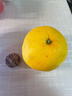 京地达柚子福建黄金葡萄柚西柚甜柚水果净重9斤单果250g+源头直发 实拍图