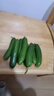 京鲜生 精品嫩水果黄瓜 净1.6斤单果70g左右 水嫩精选幼瓜 源头直发 实拍图