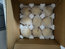 正宗河北鸭梨大白梨应当季新鲜现摘孕妇水果梨子脆甜多汁大果整箱 鸭梨9斤【净重8-8.5斤】 实拍图