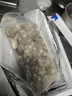 鲜享纯新鲜速冻大号蛏子肉新鲜捕捞鲜剥无沙去壳纯肉蛏子肉冷冻竹节蛏 1250g 冷冻蛏子肉每包1.25斤共2.5斤 实拍图