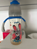 贝亲（Pigeon）迪士尼疯狂动物城PPSU双把手彩绘奶瓶330mL L号 6月+ 探案朱迪 实拍图