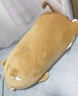 名创优品（MINISO）柴犬系列毛绒公仔趴姿玩具娃娃抱枕睡觉卧室办公室生日圣诞礼物 实拍图