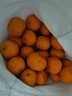 京鲜生 正宗广西砂糖橘净重4.5斤 单果35-55mm 精品果 源头直发包邮 实拍图