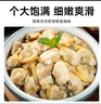 灵略新鲜活剥蛤蜊肉净重1.8斤 花甲花蛤蚬子肉大号去壳去沙 生鲜 贝类 实拍图
