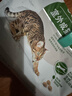 皇家成猫 户外成猫 O30 通用粮 12月以上 4KG 实拍图
