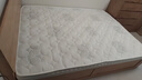 薄款五星级酒店床垫独立弹簧席梦思10CM厚软硬适中儿童榻榻米1.8m 软硬适中 1500mm*2000mm 实拍图