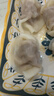 湾仔码头三鲜水饺1320g66只饺子早餐速食半成品面点速冻饺子 实拍图
