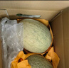 京鲜生 海南哈密瓜 西州蜜/西周蜜 2粒 5-7斤 单果2.5斤起 生鲜水果礼盒 实拍图