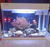 森森（SUNSUN）超白鱼缸一体缸自循环客厅桌面小型家用水族箱HEJ-380 实拍图