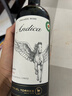 智利进口安第卡珍藏美乐干红葡萄酒 750mL 750mL 实拍图