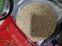 周兴豪桥墩月饼蛋黄浙江温州特产五仁大月饼传统手工糕点节日礼盒送人 礼盒装（蛋黄500+肉松蛋黄500） 实拍图
