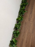 双盟绿萝盆栽除甲醛花卉绿植办公室新房净化空气 120款10盆源头直发 实拍图