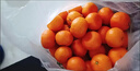 兀果语2025年云南密桔酸桔子当季薄皮橘子孕妇新鲜水果爆汁无核青 10斤 实拍图