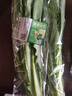 油麦菜约300g 实拍图