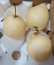 河北鸭梨新鲜10斤应当季水果现摘正宗水晶酥白梨雪梨整箱包邮梨子 净重5斤精选大果 实拍图
