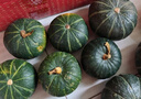 京鲜生 广西精品贝贝南瓜(超甜瓜)净4.5斤单果300g+不爱吃包退 源头直发 实拍图