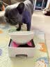 日式宠物狗狗猫斜口防滑陶瓷食盆架法斗碗狗碗食盆大号大型犬用品 L-白色碗粉垫餐桌套装 实拍图