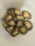 江船长 冷冻鲍鱼 净重160g(10-15粒)袋装 火锅烧烤食材 海鲜生鲜  实拍图